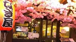Nagiya Thaniya street なぎ屋 タニヤ店 นากิยะ ซอยธนิยะ